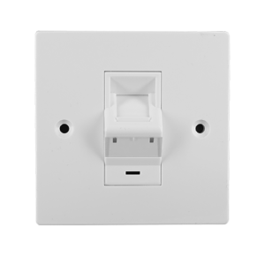 Cat6 Faceplate IGC45FP 2 Single 01 Lightem Technologies